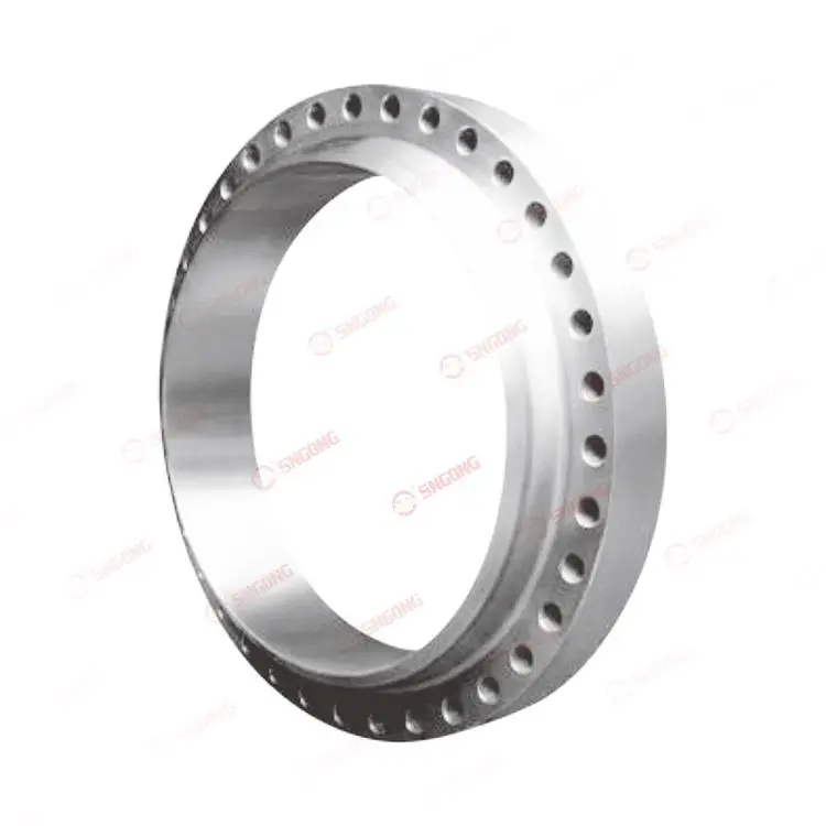 Large-diameter high-pressure flange