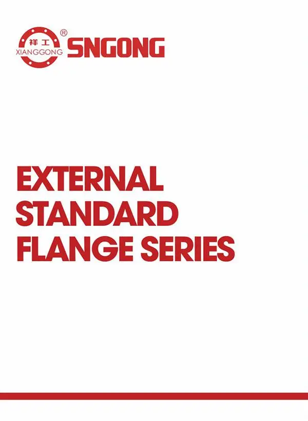 External standard flange