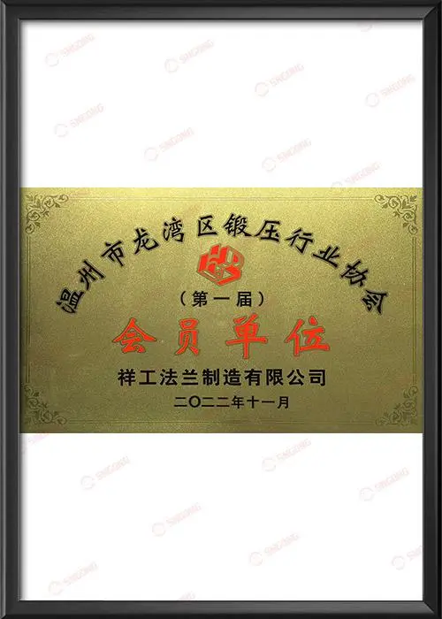 Members of the Pressing Industry Association of Longwan District