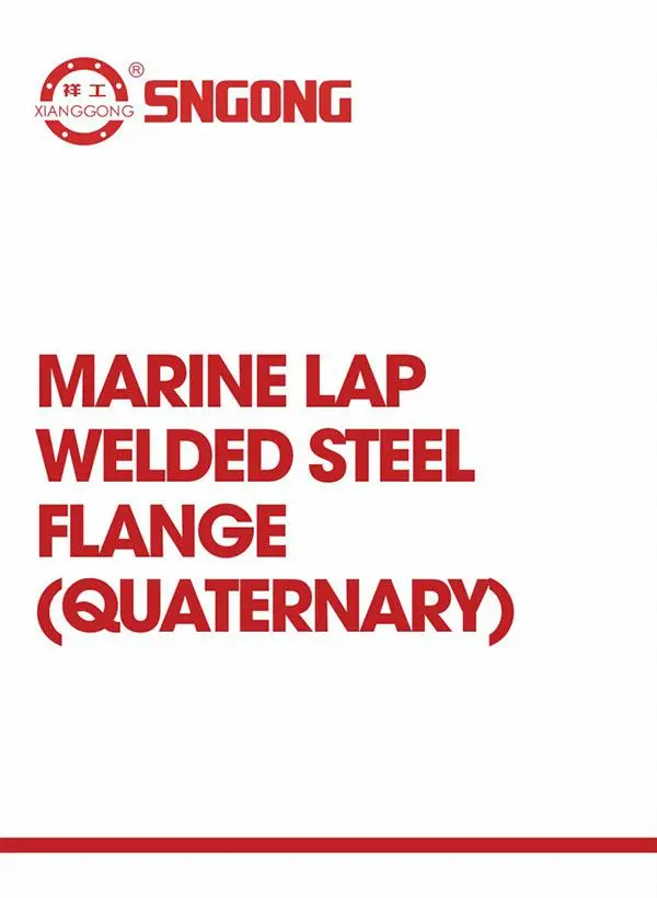 Marine butt-welded steel flange (four positions)